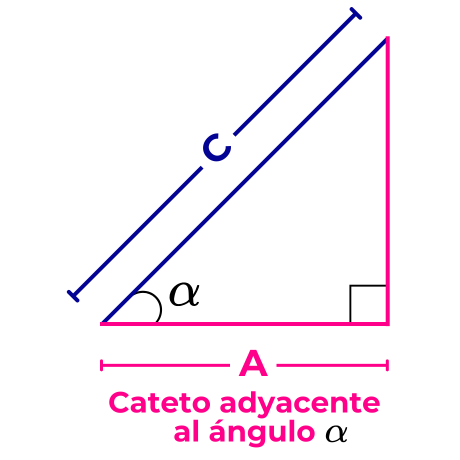 Cateto adyacente a un ángulo