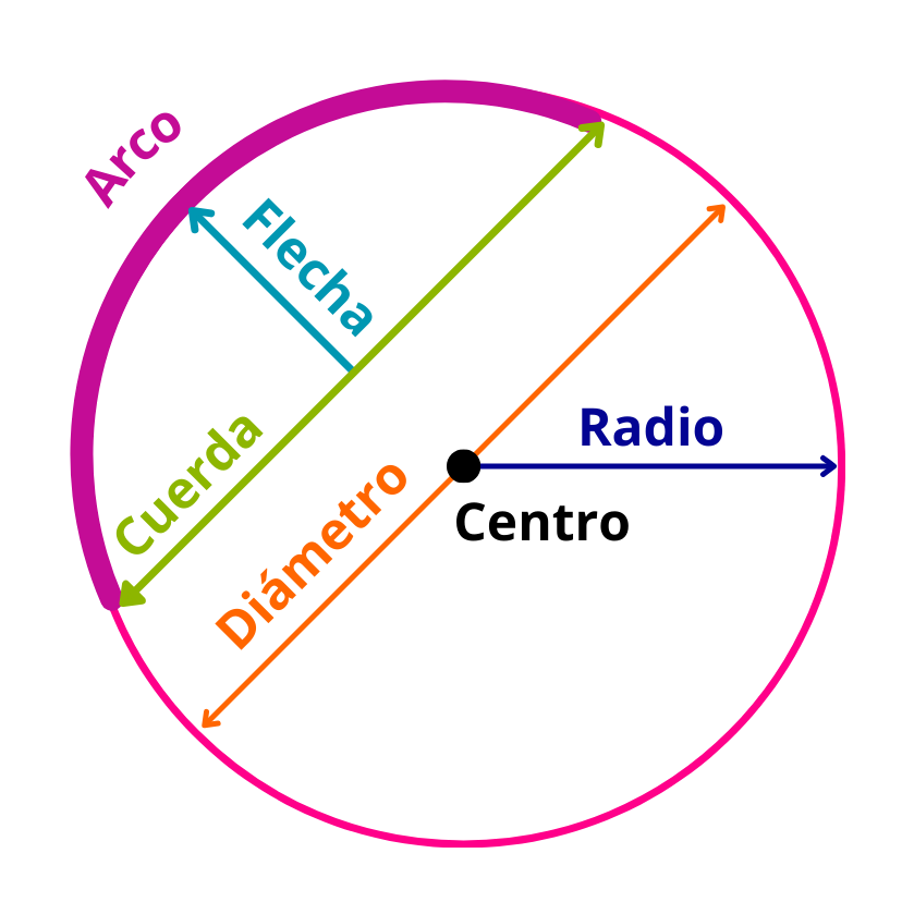 Definición y partes de una circunferencia