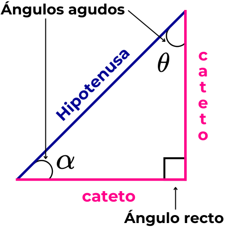 Catetos e hipotenusa en un triángulo rectángulo